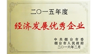 經濟發(fā)展優(yōu)秀企業(yè)